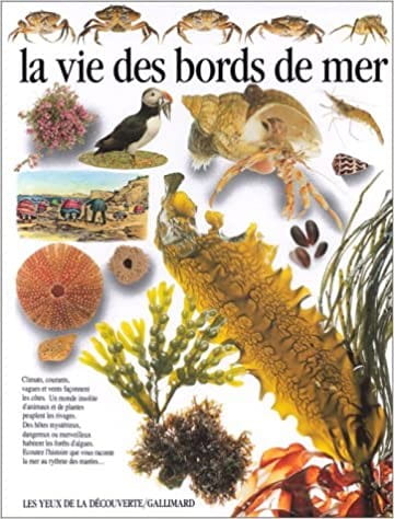 La vie des bords de mer - Click to enlarge picture.