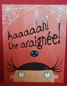 Aaaarrgghh une araignee ! - Click to enlarge picture.