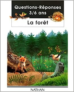 La forêt - Click to enlarge picture.