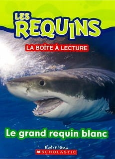 Le requin - Click to enlarge picture.
