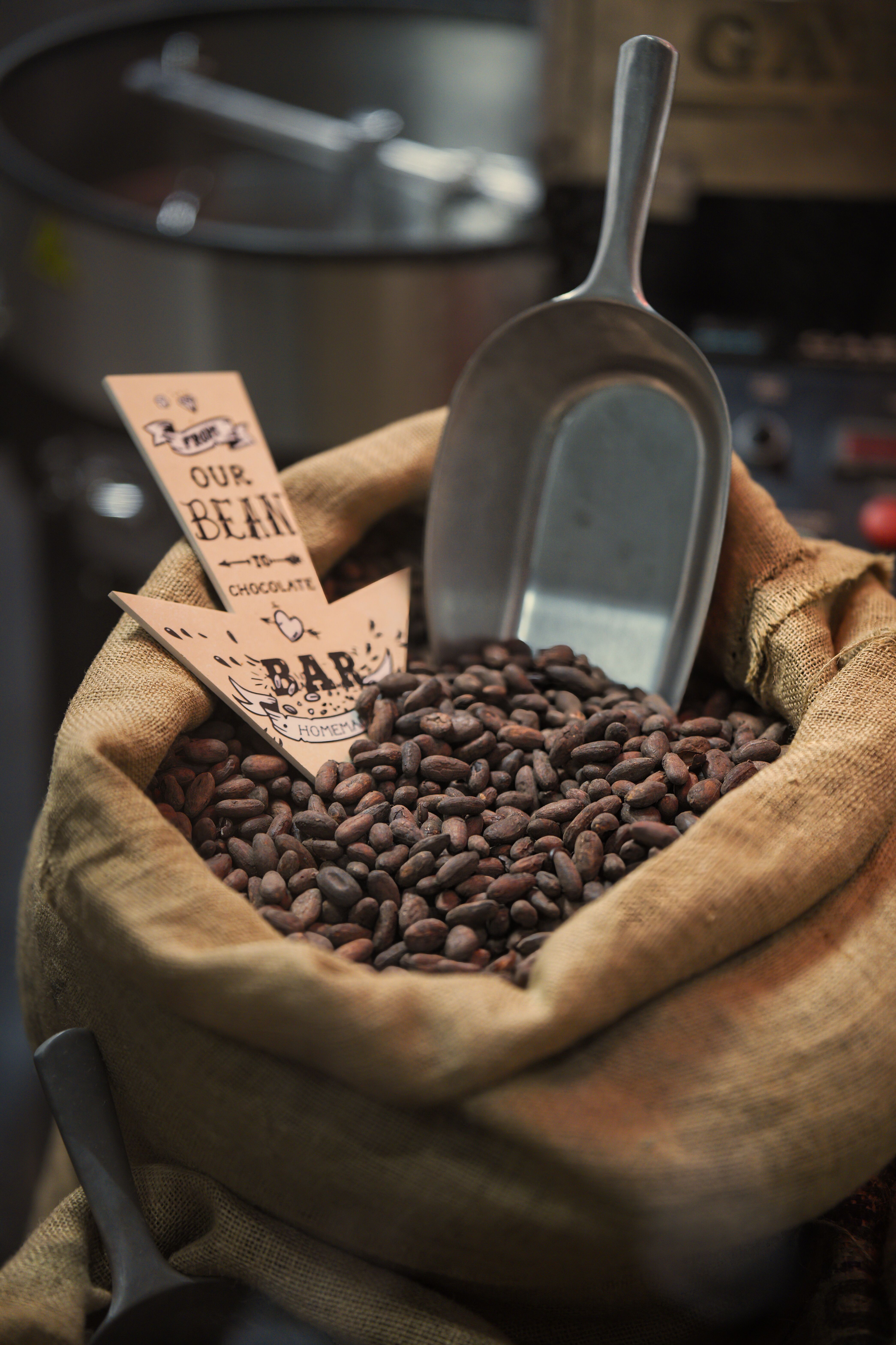 Chocolate Workshop