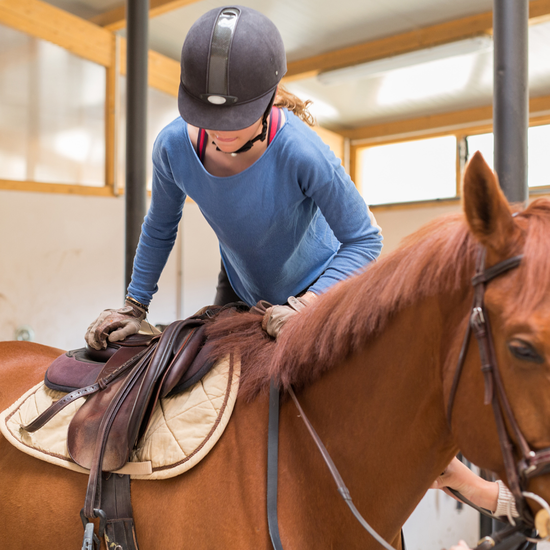 Horse Riding Initiation